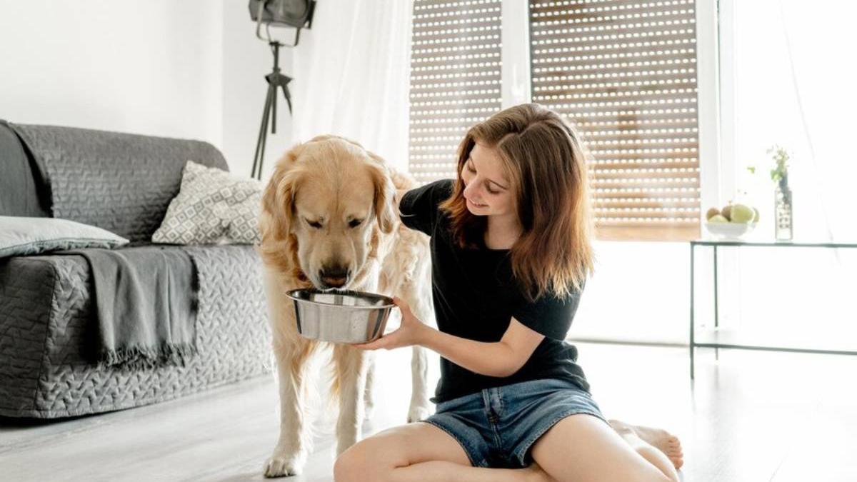 Dueña da de comer a su perro.