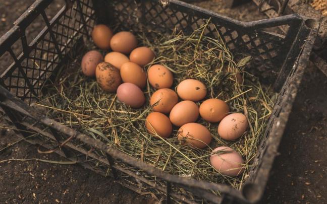 Una cesta con huevos recién recogidos. / Freepik Una cesta con huevos recién recogidos.