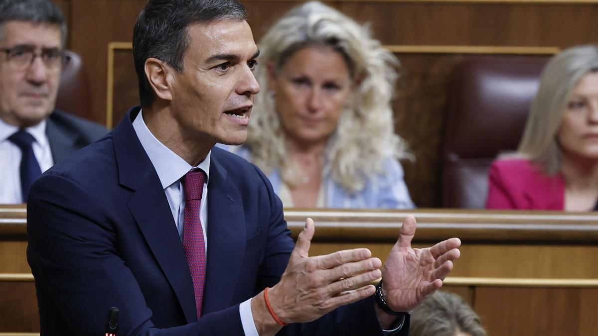 Sánchez, en una sesión plenaria.