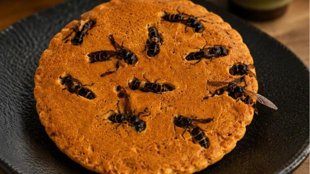 Una galleta con avispas incrustadas.