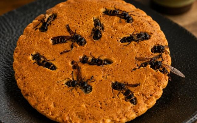 Una galleta con avispas incrustadas.