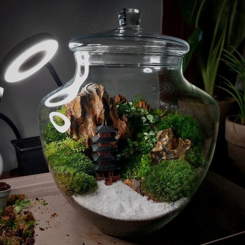 El tiempo que invierte en sus terrarios depende mucho de cada uno.