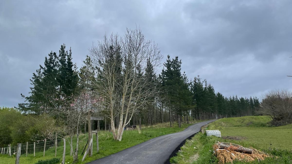El acceso soporta un tránsito diario de vehículos de residentes y maquinaria forestal