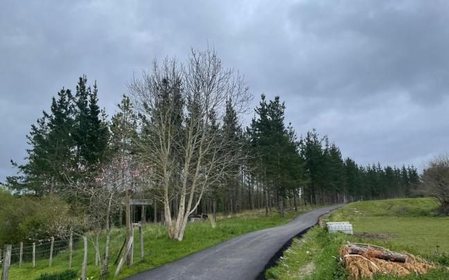 El acceso soporta un tránsito diario de vehículos de residentes y maquinaria forestal
