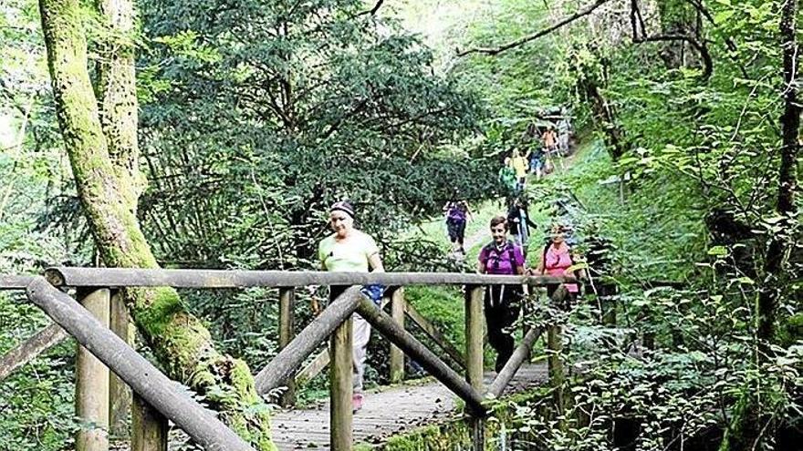 Un grupo de visitantes, en el bosque de Añarbe.