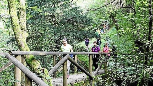 Un grupo de visitantes, en el bosque de Añarbe.