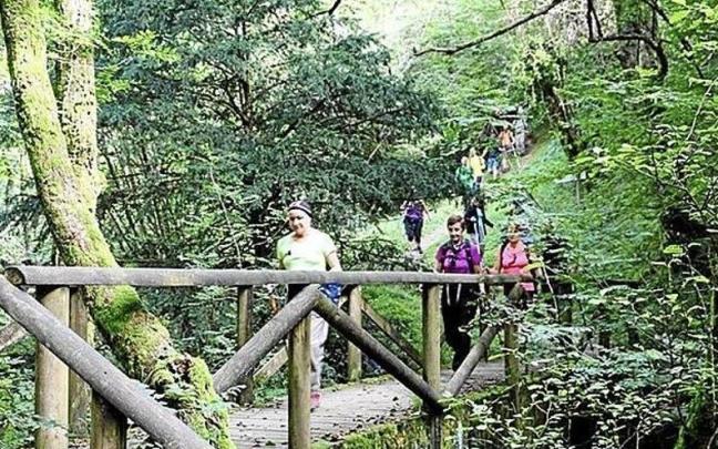 Un grupo de visitantes, en el bosque de Añarbe.