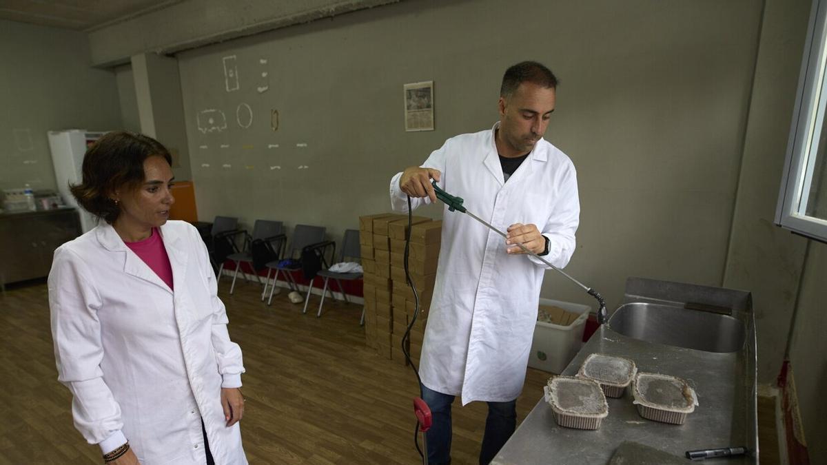 Mireia y Asier elaboran harina con grillos para comida de animales.