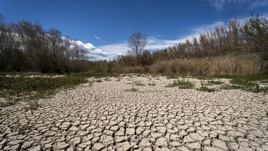 Hasta un 70 % de la población podría sufrir clima extremo en 2050