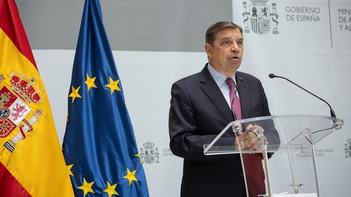 El ministro de Agricultura, Pesca y Alimentación, Luis Planas.