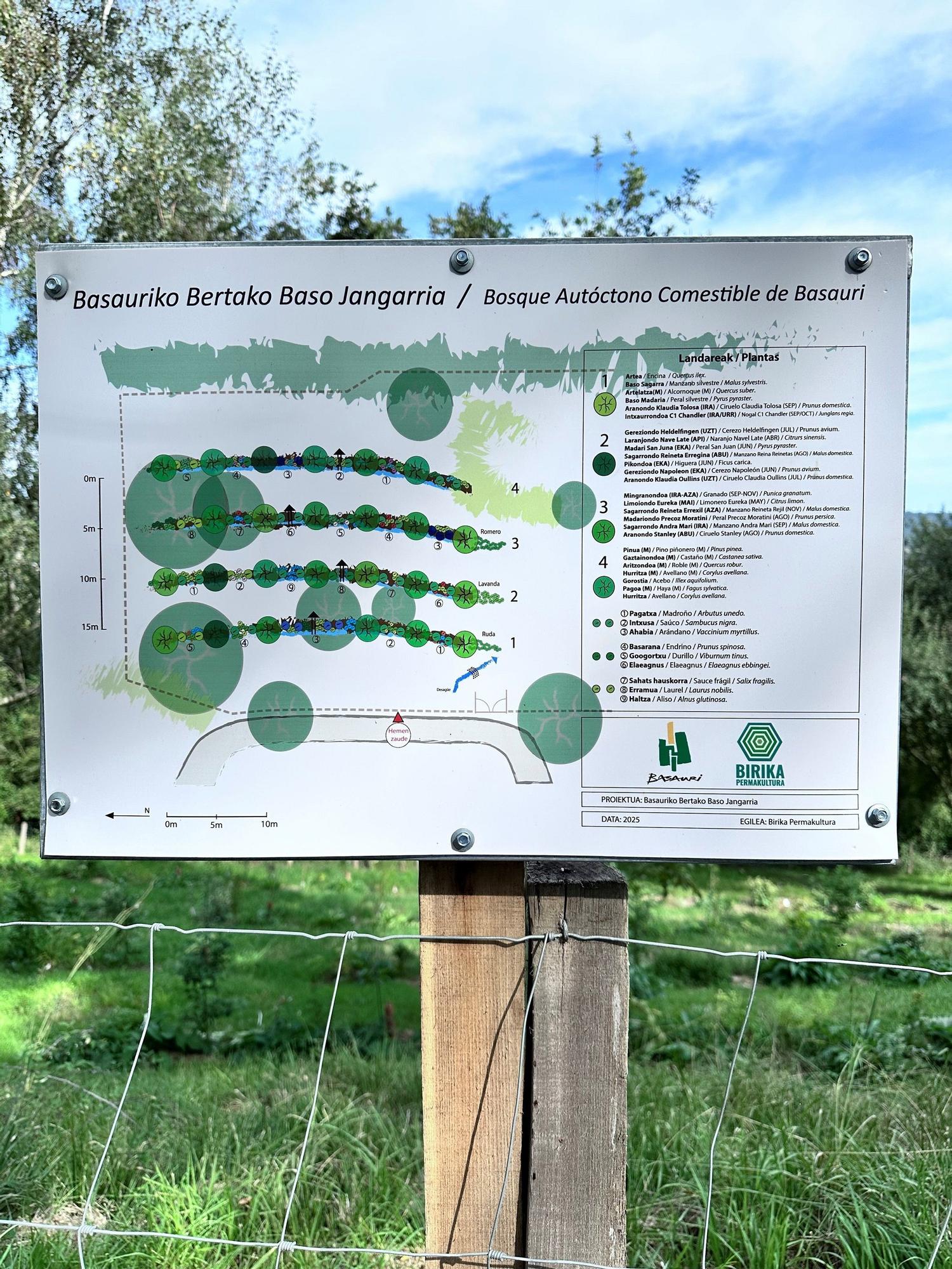 Panel informativo del bosque autóctono comestible de Basauri