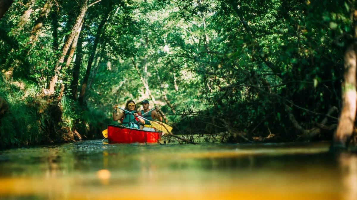 El rio Leyre cuenta con 90 km navegables y permite llegar hasta Arcachon en kayak.
