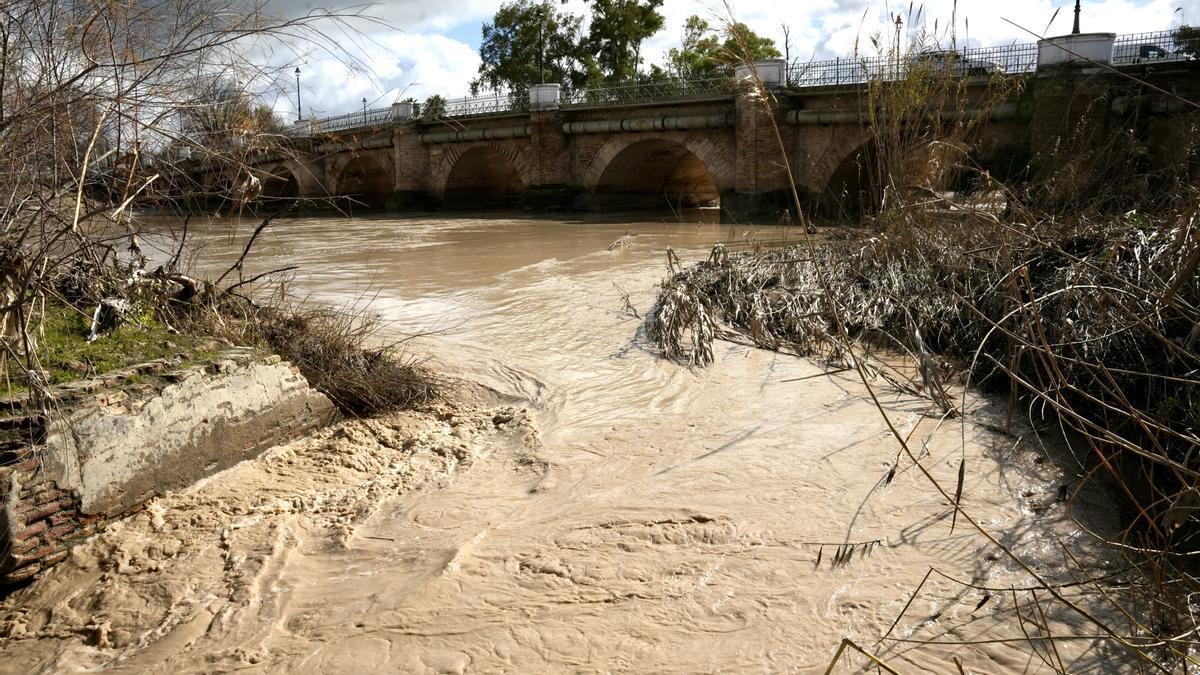 En imágenes: Andalucía tiene seis ríos en nivel rojo y 3.000 personas desalojadas en Cádiz, Jaén y Málaga