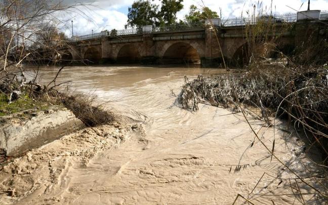 En imágenes: Andalucía tiene seis ríos en nivel rojo y 3.000 personas desalojadas en Cádiz, Jaén y Málaga