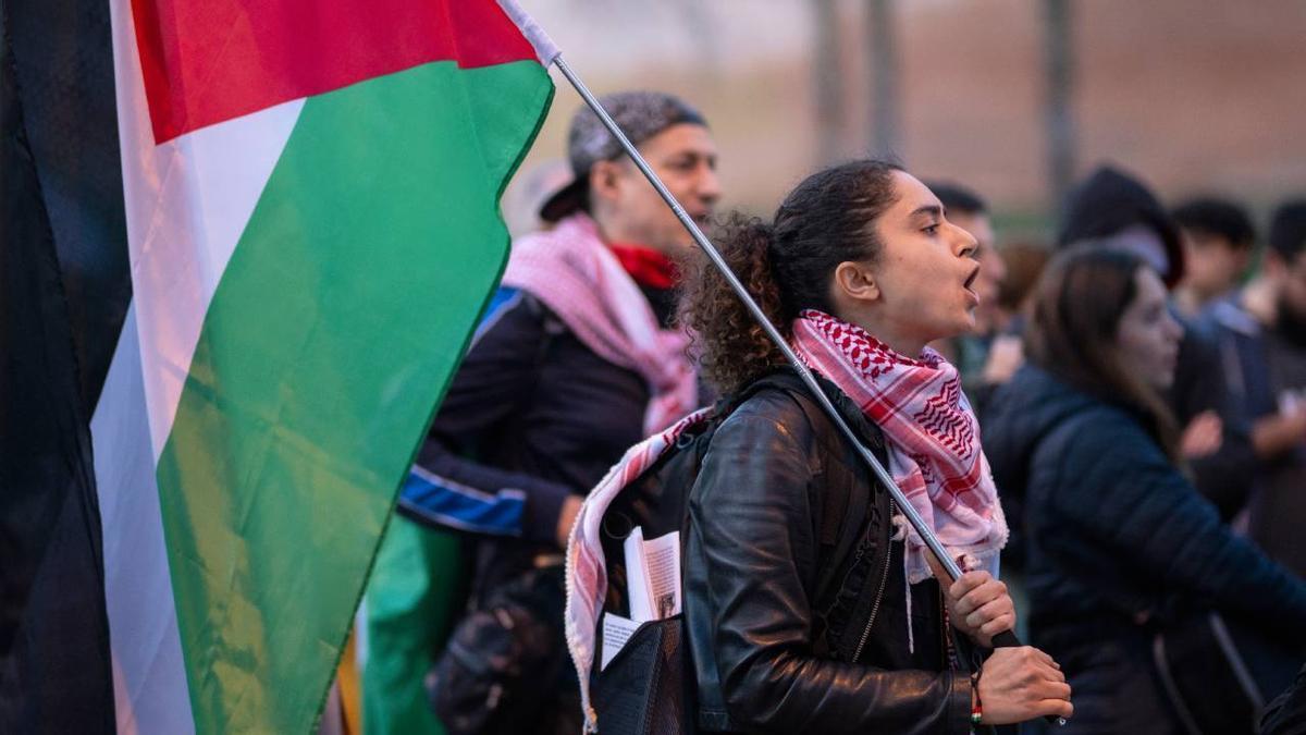 Manifestante a favor de Palestina.