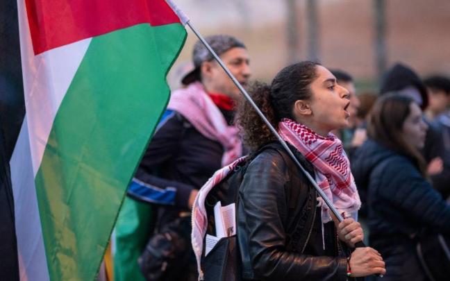 Manifestante a favor de Palestina.