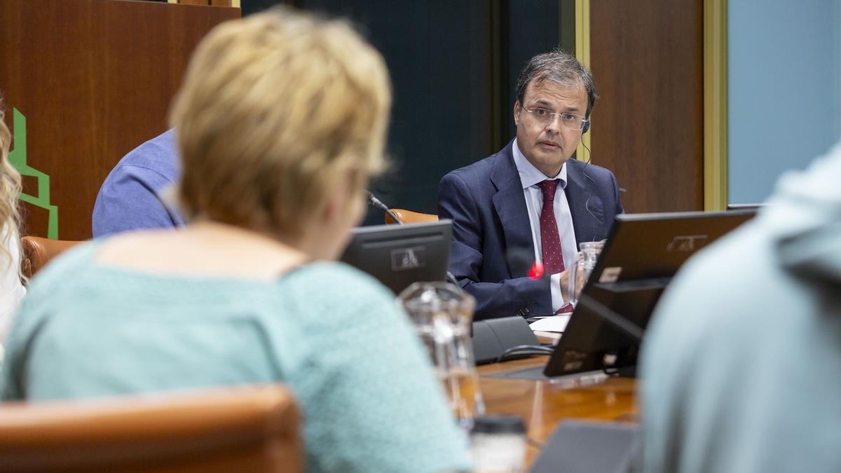 El consejero Alberto Martínez, en el Parlamento Vasco.