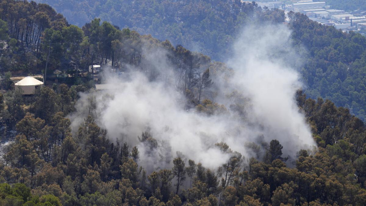 Incendio forestal en el Estado.