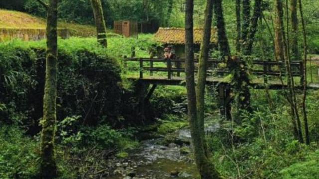 Ruta de los molinos de Agorregi, ubicada en el Parque Natural de Pagoeta / @amaiaychester Ruta de los molinos de Agorregi, ubicada en el Parque Natural de Pagoeta