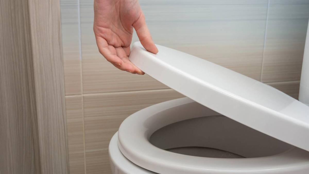 Esta es la razón por la que deberías echar sal al inodoro todas las noches antes de dormir