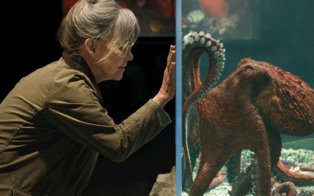 La actriz Sally Field en una escena de la película ‘Criaturas luminosas’