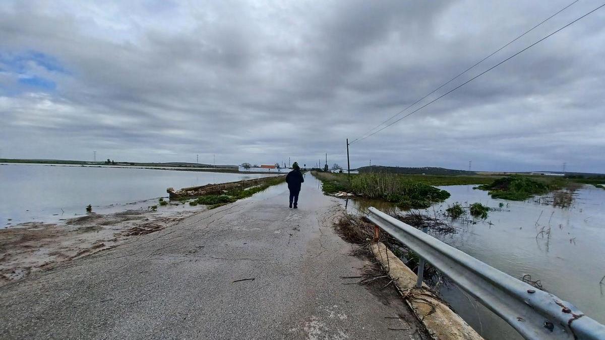 Zona inundada en el arroyo Salado en el Palmar de Troya (Sevilla).