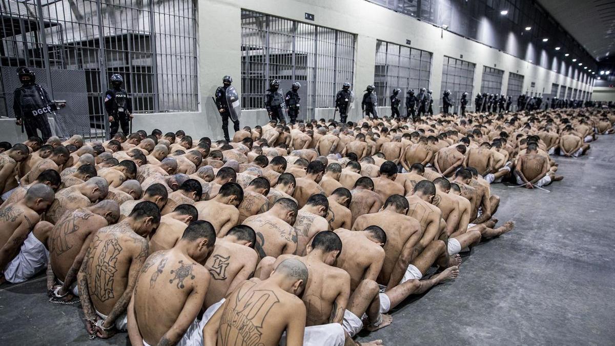 Parte de los nuevos reclusos que han llegado a la polémica cárcel de El Salvador.