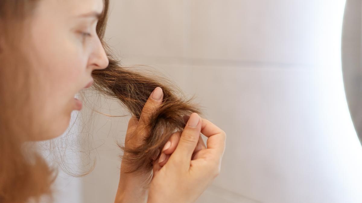 En condiciones normales, aproximadamente un 10% del cabello se encuentra en la fase telógena, lo que significa que todos los días se pierden entre 50 y 100 cabellos