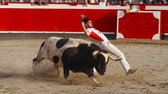 La plaza de Azpeitia volverá a servir de marco al espectáculo de los recortadores.