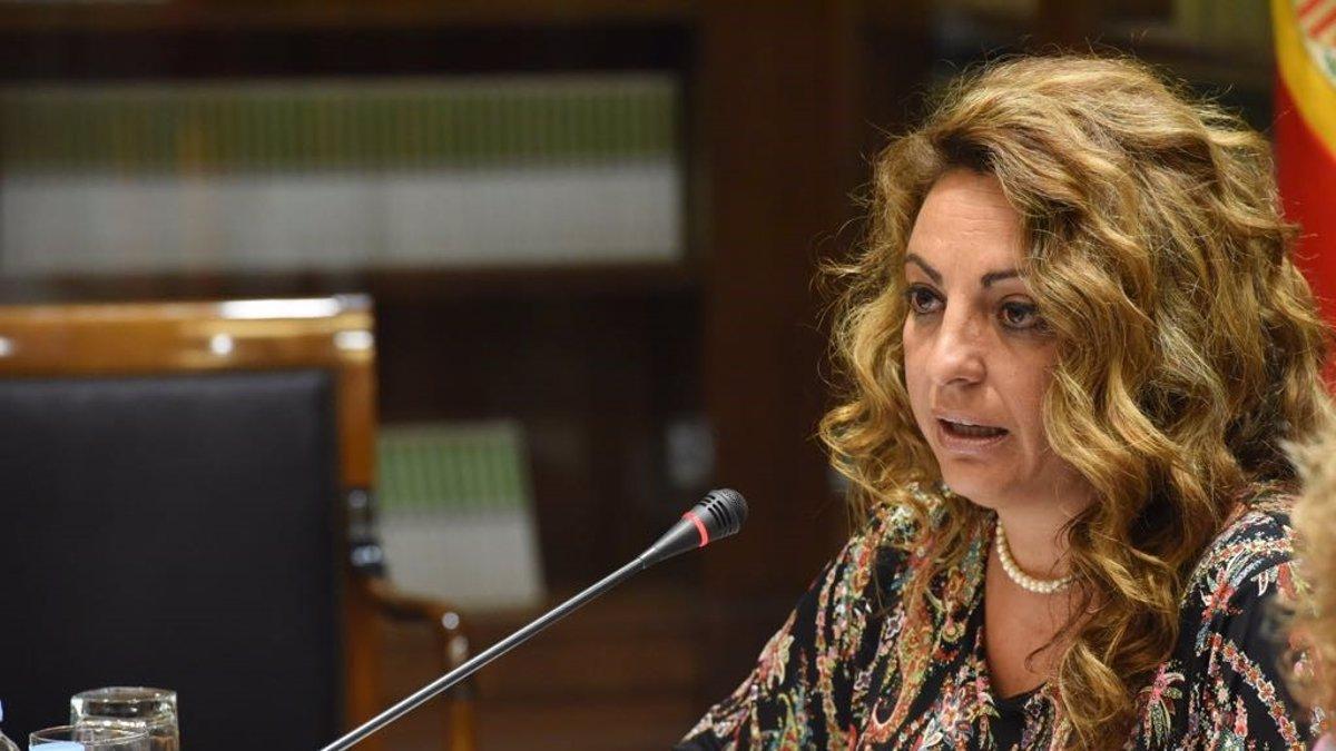 Cristina Valido, portavoz de Coalición Canaria