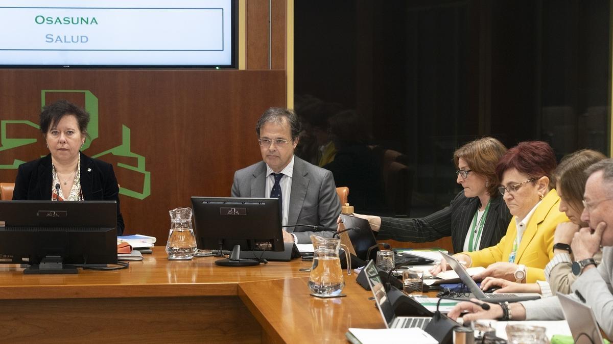 El consejero de Salud, Albert Martínez, ha presentado HaurSare ante la Comisión de Salud