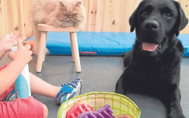 Son innumerables los beneficios de compartir la vida con los animales.