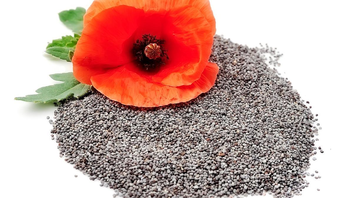Las semillas de amapola son una excelente opción para aderezar cremas de verduras.