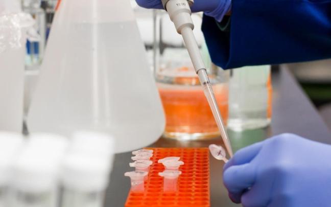 Imagen de un ensayo clínico