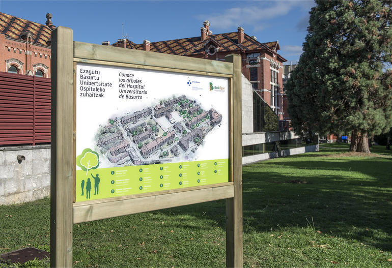 Paneles explicativos sobre los árboles que hay en el Hospital de Basurto