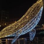  La ballena navideña de Bilbao se apaga El Ayuntamiento informa que será este viernes cuando se produzca su apagón a causa de un rodaje Andrea Valle Bilbao | 12·12·24 | 12:17 | Actualizado a las 12:23 La Ballena iluminada es uno de los elementos más queridos de la Navidad bilbaina. La Ballena iluminada es uno de los elementos más queridos de la Navidad bilbaina. B.U.