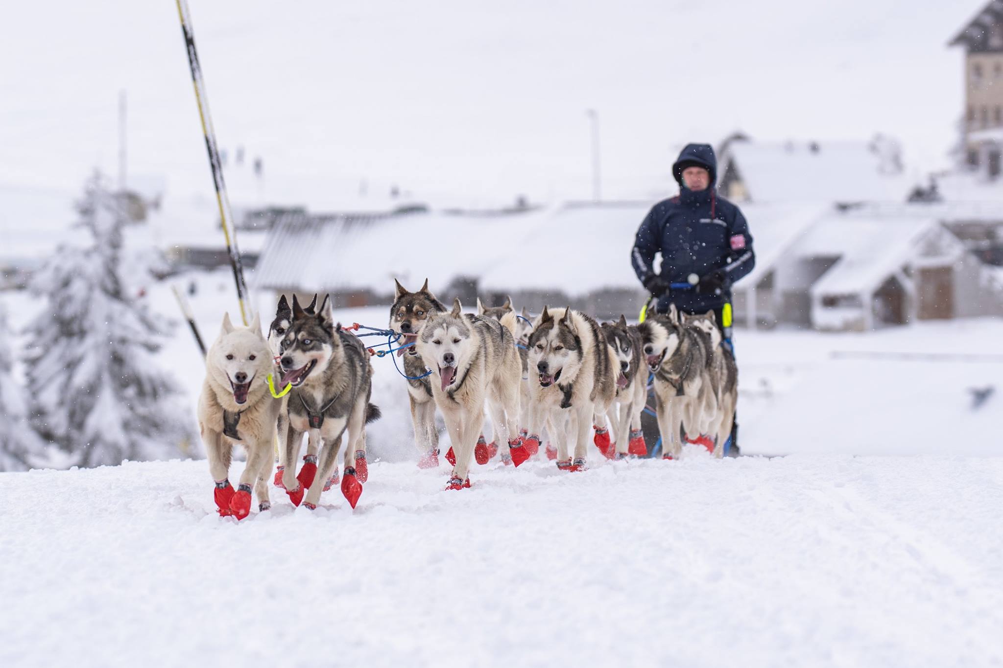 musher entrevista balsar gallardo