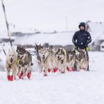 musher entrevista balsar gallardo