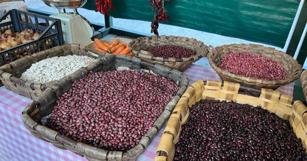 Barazkiak Mª Rosario Echevarría