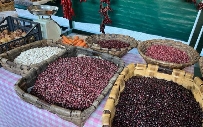 Barazkiak Mª Rosario Echevarría