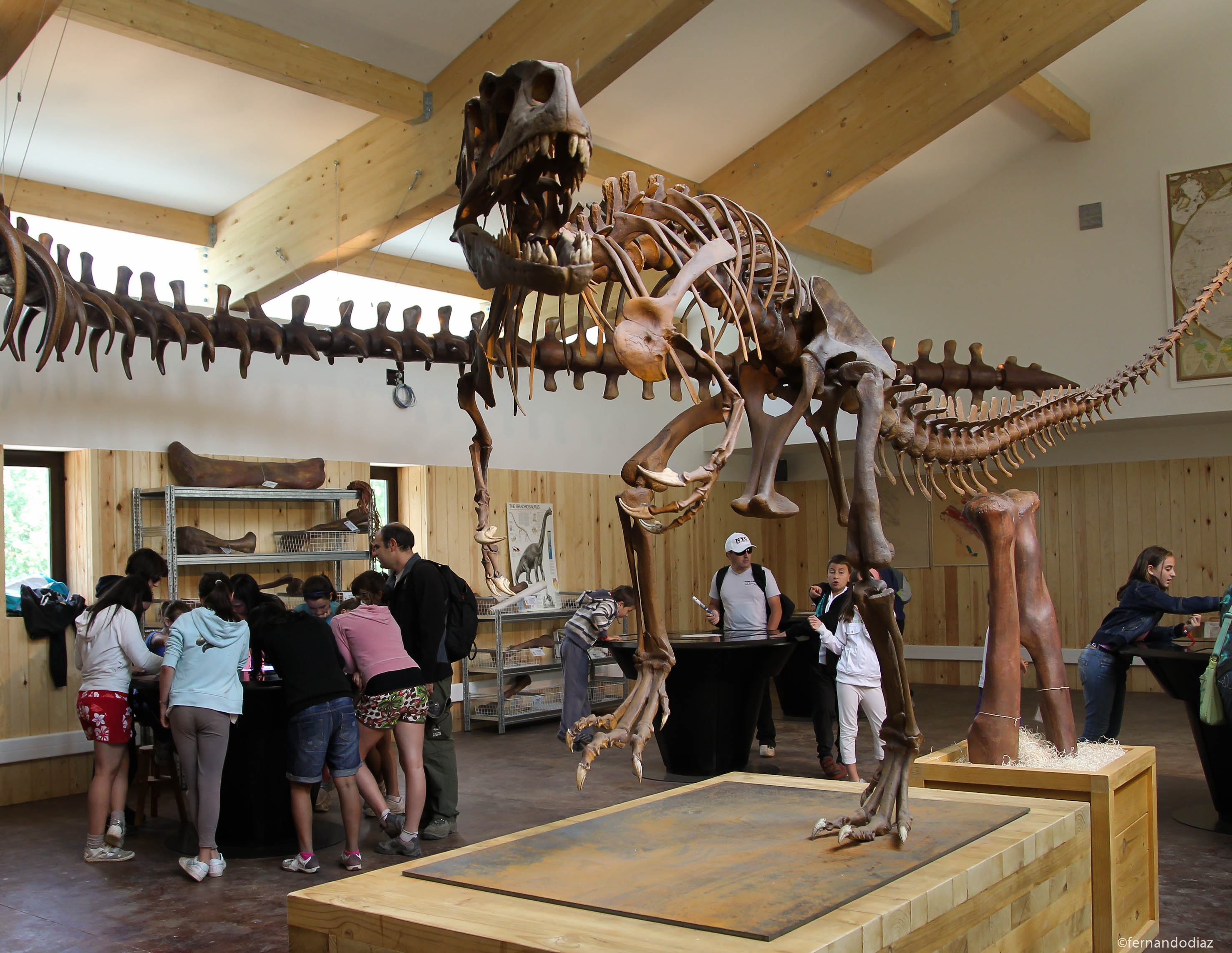 Exposición de dinosaurios de Barranco Perdido