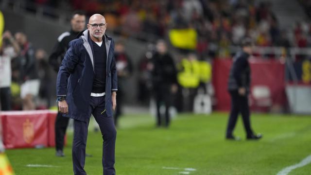 Luis de la Fuente, en la banda mientras se disputa el España-Turquía.