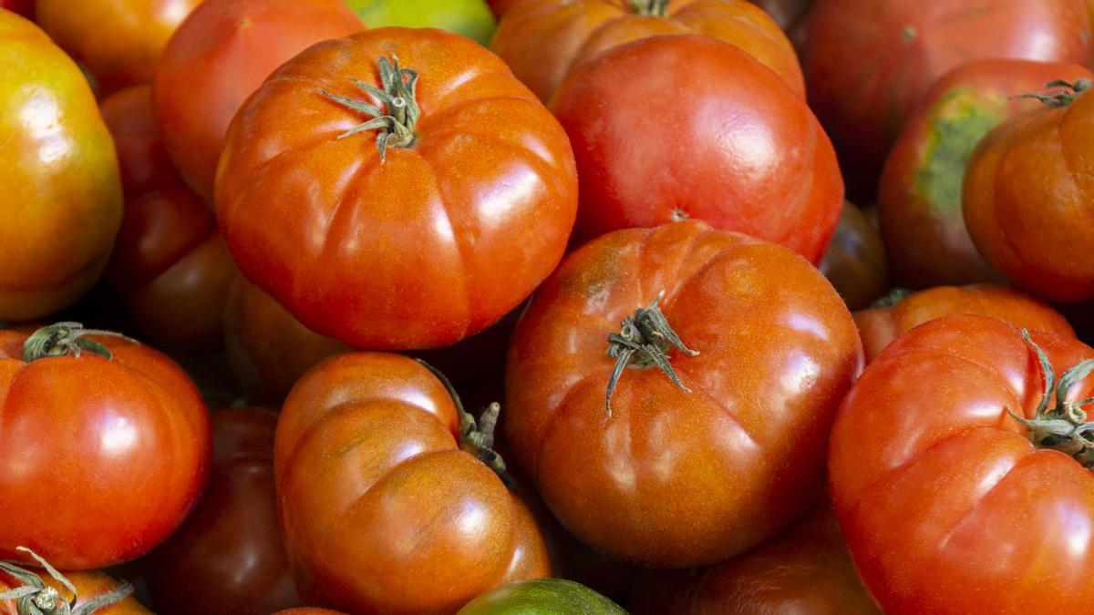 Tipos de tomates.