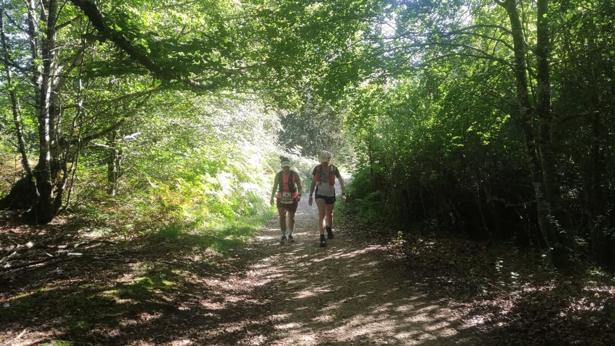 Atravesamos frondosos bosques de ensueño