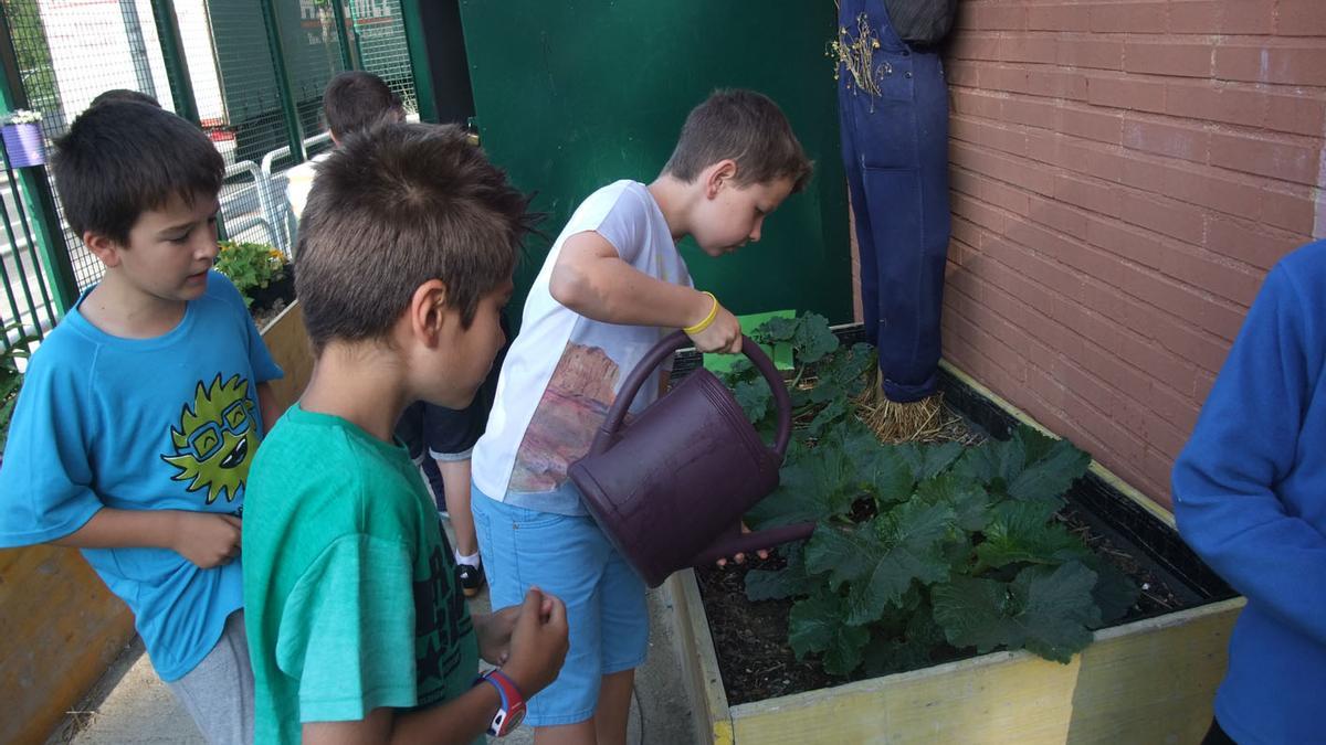 Escolares trabajan en huertas ecológicas impulsadas por el Ayuntamiento de Pamplona AYUNTAMIENTO DE PAMPLONA