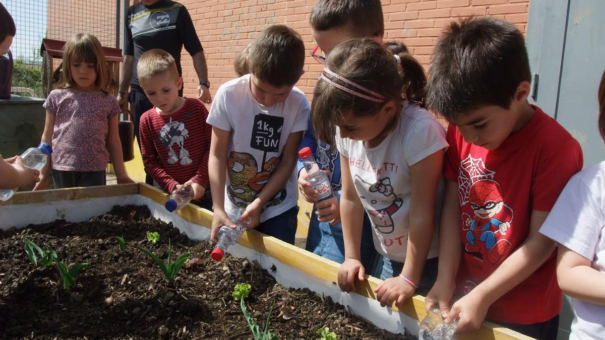 Escolares trabajan en huertas ecológicas impulsadas por el Ayuntamiento de Pamplona AYUNTAMIENTO DE PAMPLONA