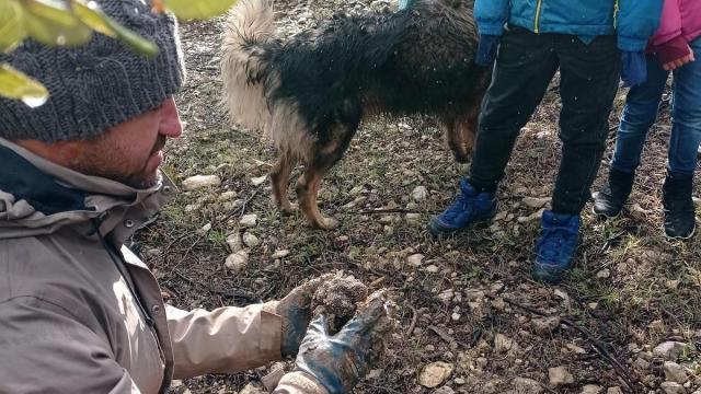 El Museo de la Trufa se encuentra situado en la comarca de Tierra Estella.