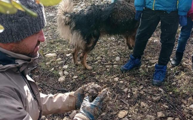El Museo de la Trufa se encuentra situado en la comarca de Tierra Estella.