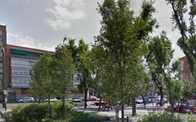 Los hechos han ocurrido en un parque del madrileño distrito de Carabanchel.