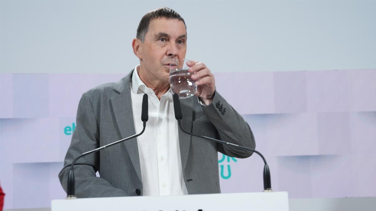 El coordinador general de EH Bildu, Arnaldo Otegi.